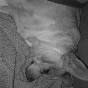 Meet your Posher, Zoie